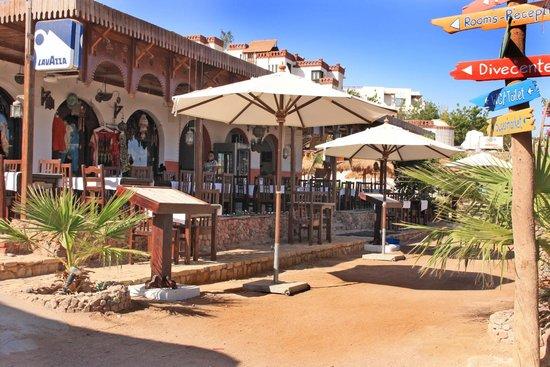 Sharks Bay Raggio di Sole